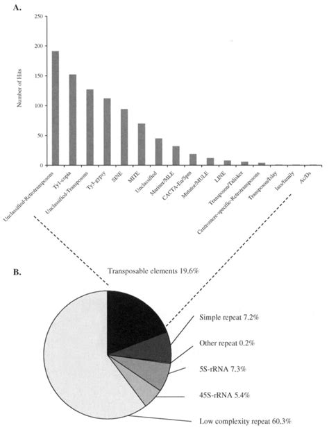 (Panel A) Distribution of transposable elements identified in the ... 