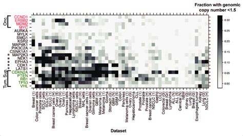 Senescence Gene Loss Evidenced By Genomic Copy Number Analysis Heatmap