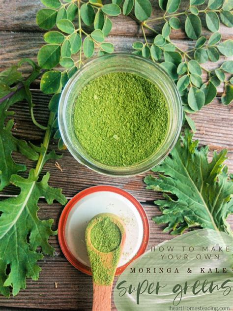 How To Make Your Own Kale Moringa Powder First Home Love Life