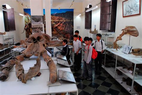 Museo Nacional Paleontológico Arqueológico La Región