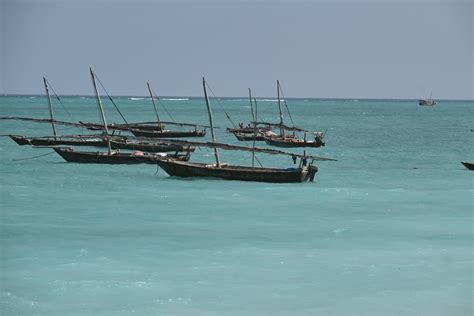 Hakuna Matata - Zanzibar – Island Tribe