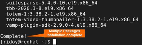 How To Install Rpm Packages Using Dnf Useful Cases Linuxsimply