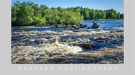 Fotokonst Natur Sk Rg Rd En Bakgrundsbild Fr N Svenska Kustlandskap