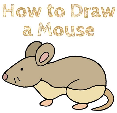 How To Draw A Mouse Draw For Kids