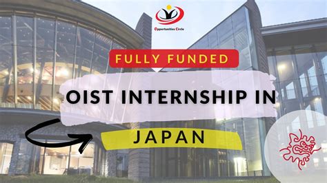 How To Apply For An OIST Research Internship In Japan 2023 Fully