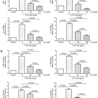 Inhibition Of Lps Induced Proinflammatory Cytokine Production In The