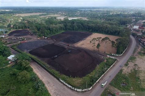 Harga Batu Bara Menunjukkan Tren Penurunan Antara News