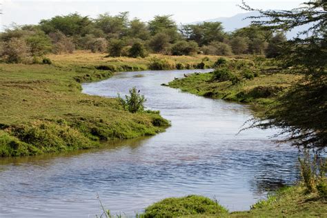 Lake Manyara National Park