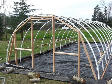 fiddlehead farm | Simple greenhouse, Diy greenhouse, Greenhouse plans