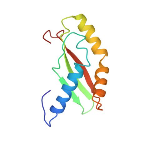 Rcsb Pdb 1kkg Nmr Structure Of Ribosome Binding Factor A Rbfa