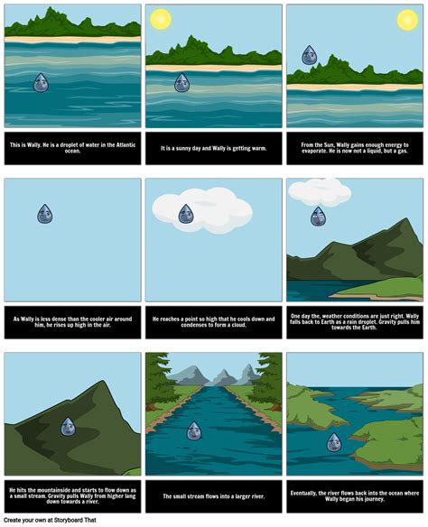 The Water Cycle Diagram Steps Pictures And Activities