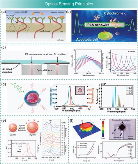 The Optical Sensing Principle Of Biodegradable Physical Sensors A