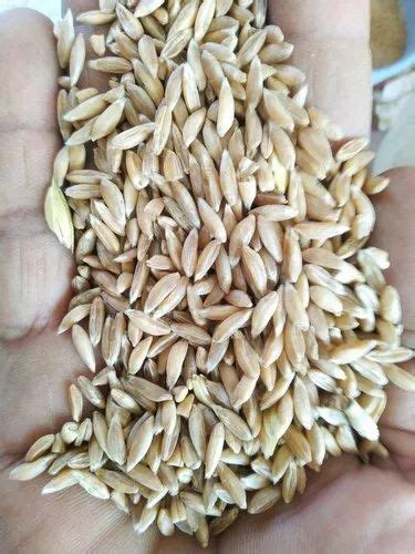 Organic Khapli Wheat At Rs Bag Sedari Ujjain Id