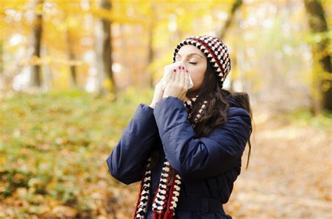 Fall Allergy Season is Here – How to Prepare Your Home So You Don’t ...