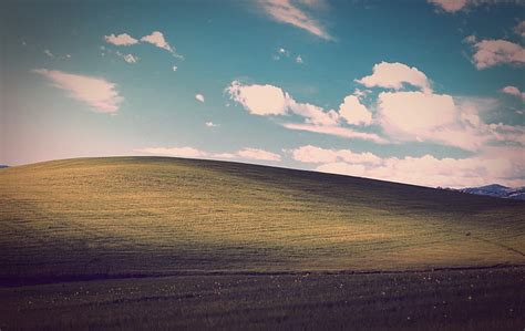 HD wallpaper: green grass field, Bliss, Landscape, Windows XP, Stock ...