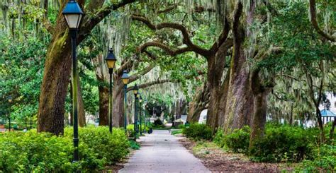 Savannah We Shall Overcome Black History Walking Tour Getyourguide