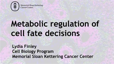 Metabolic Control Of Cell Fate Decisions In Stem Cells And Cancer Cells