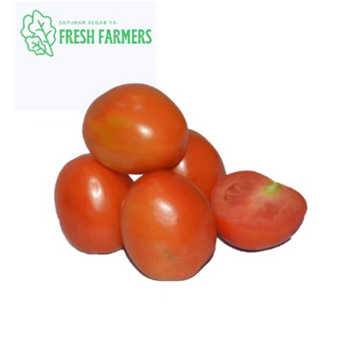 Jual Tomat Merah Segar Red Tomato Gr Shopee Indonesia