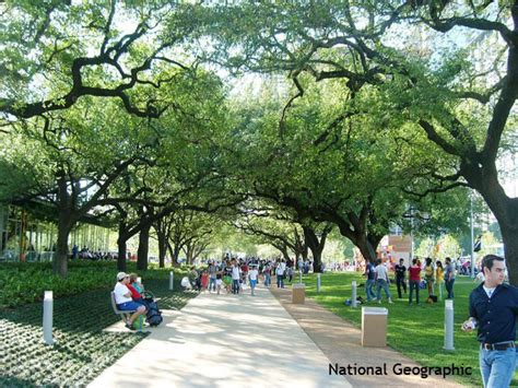 Benefits of Urban Parks 2 - Westchester Tree Life