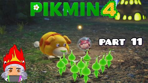 Night Expeditions And Serene Shores Pikmin Playthrough Part