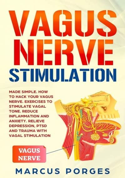 PDF READ Vagus Nerve Stimulation Made Simple How To Hack Your Vagus