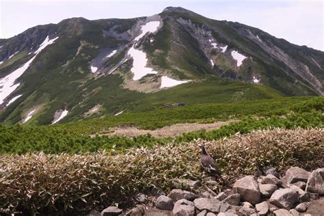 薬師岳・太郎山・北ノ俣岳上ノ岳・赤木岳・黒部五郎岳中ノ俣岳 かっこさんの水晶岳・薬師岳・黒部五郎岳の活動データ Yamap