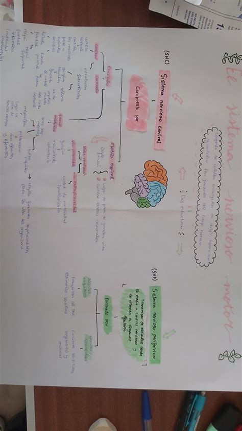 Pin On Mapa Conceptual Bonito