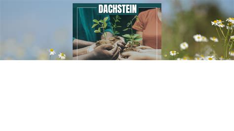 Dimanche 7 mai Fête des Plantes et de la Nature à Dachstein 67120