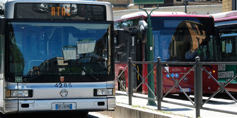 Follia A Roma Aggredisce Lautista Del Bus Che Gli Aveva Bucato Il