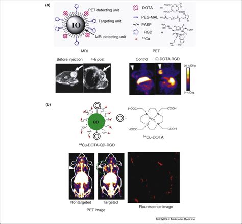 Inorganic Nanoparticle Based Contrast Agents For Molecular Imaging