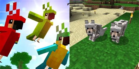 how to catch animals on minecraft