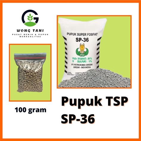 Jual Pupuk TSP SP 36 Pupuk Penyubur Dan Pembenih Tanah Repack 100 Gram