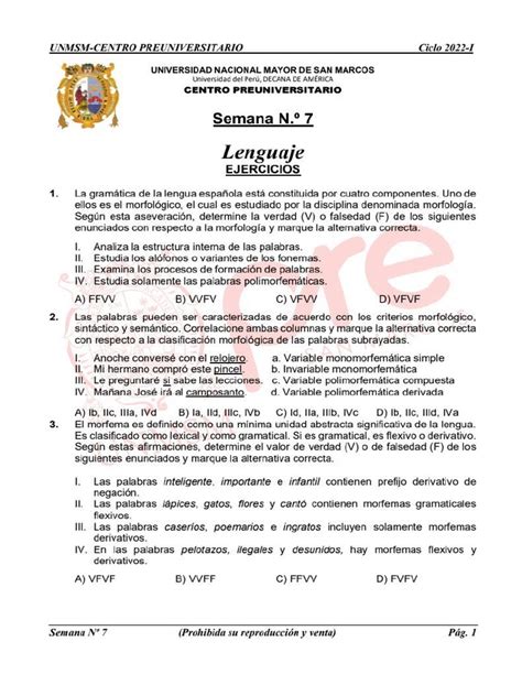 Lenguaje 7 Pdf