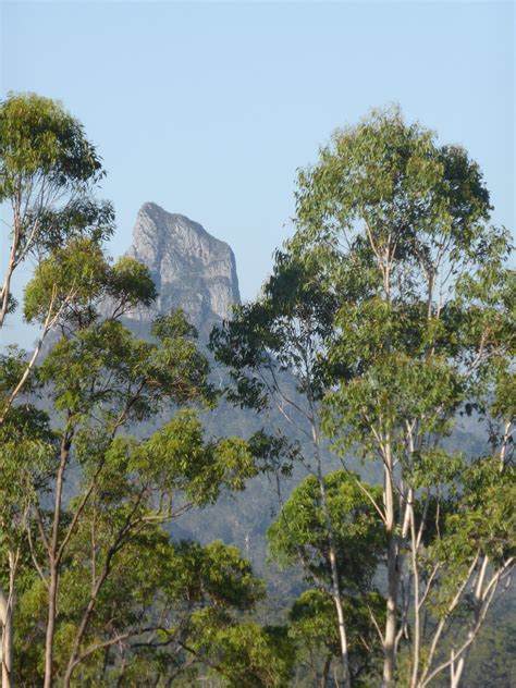 Glass House Mountains | Beach rocks photography, Glasshouse mountains, Rock photography