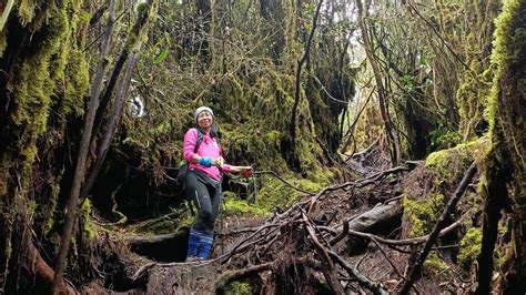 Gunung Siku Visitpahangmy