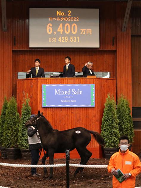 【ミックスセール】ダービー馬ドウデュース半弟は8600万円、当歳上場38頭すべて落札／詳細 競馬ライブ速報 日刊スポーツ