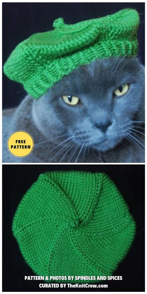 Free Knitted Cat Hat Patterns The Knit Crew