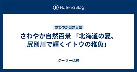 さわやか自然百景 「北海道の夏、尻別川で輝くイトウの稚魚」 クーラーは神