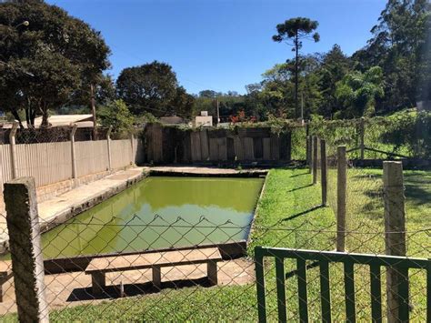 Fazenda S Tio Na Rua Juscelino Kubitschek Sn Rio Da Prata Em Cama Ari