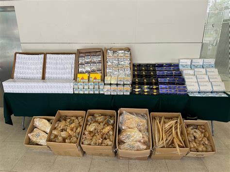 Hong Kong Customs Seizes Suspected Smuggled Dried Fish Maws Tobacco