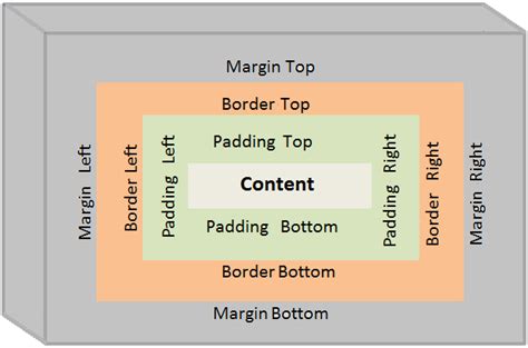 Css Box Model Tutorial Css Box Model Explained Css Images