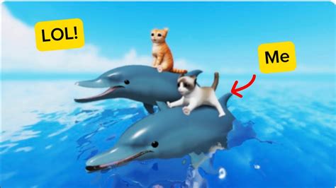 Riding Dolphins Checking Out New Updates Roblox Kitten Game