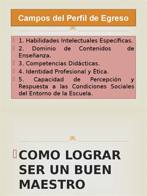 PDF 4 Campos Del Perfil De Egreso DOKUMEN TIPS