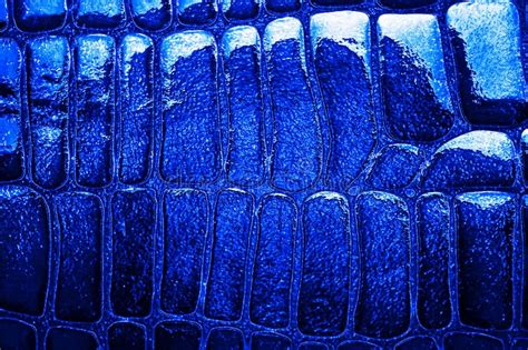 Blue snake skin background stock image. Image of design - 176243703