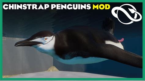 Mod Zoo Episode 3 Chinstrap Penguin Mod Planet Zoo 🐧 Youtube