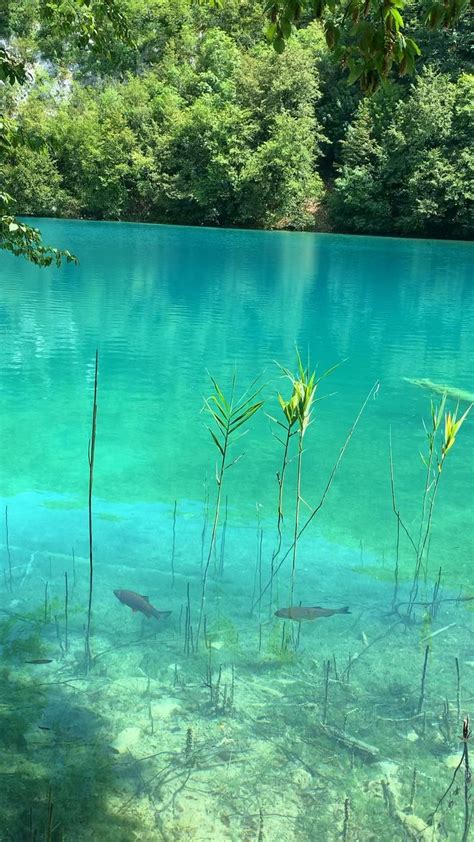 Plitvice Lakes, Croatia | Plitvice lakes, Outdoor, Lake