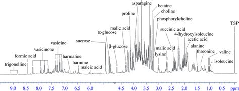 Typical 500 MHz ¹H NMR spectra of methanol extracts from P harmala