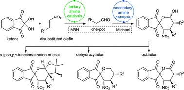 Organocatalytic Tandem Moritabaylishillmanmichael Reaction For