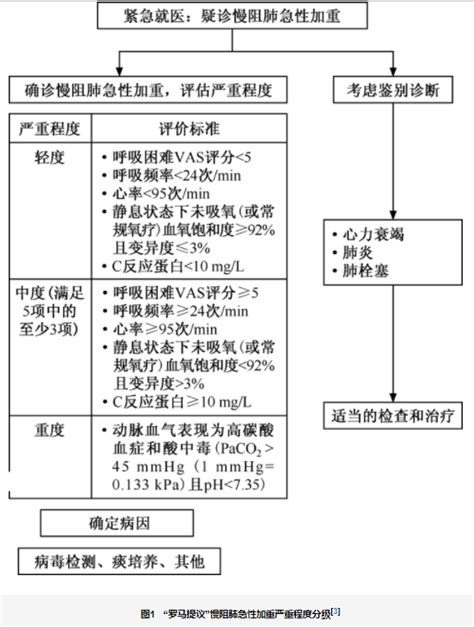 述评 从2021年“罗马提议”看慢性阻塞性肺疾病急性加重定义及分级的变迁呼吸困难述评定义提议分级 健康界