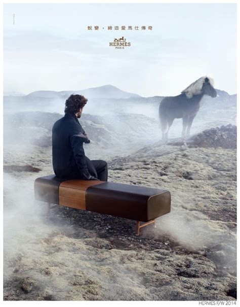 Hermès Fallwinter 2014 Ad Campaign The Fashionisto